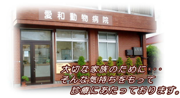 �l���s�@���a�����a�@